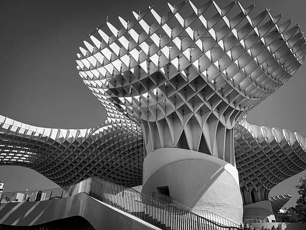 The Metropol Parasol in Seville captured in black and white, showcasing its futuristic wooden lattice structure. The dynamic curves and shadows highlight the building’s striking modern design against the clear sky.