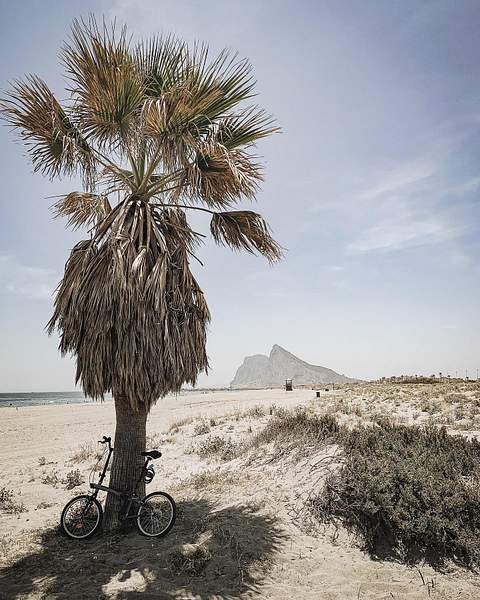 A lone palm tree stands on a sandy beach with a bicycle leaning against its trunk. In the distance, the iconic Rock of Gibraltar rises sharply against the hazy sky.